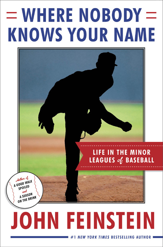 Where Nobody Knows Your Name Life In The Minor Leagues Of Baseball