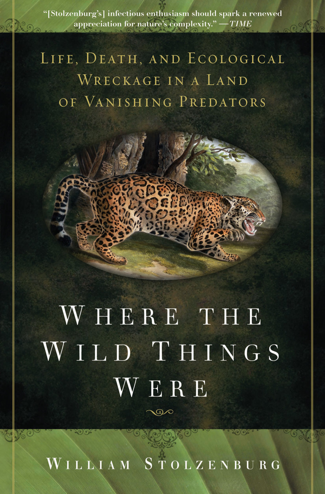 Where The Wild Things Were