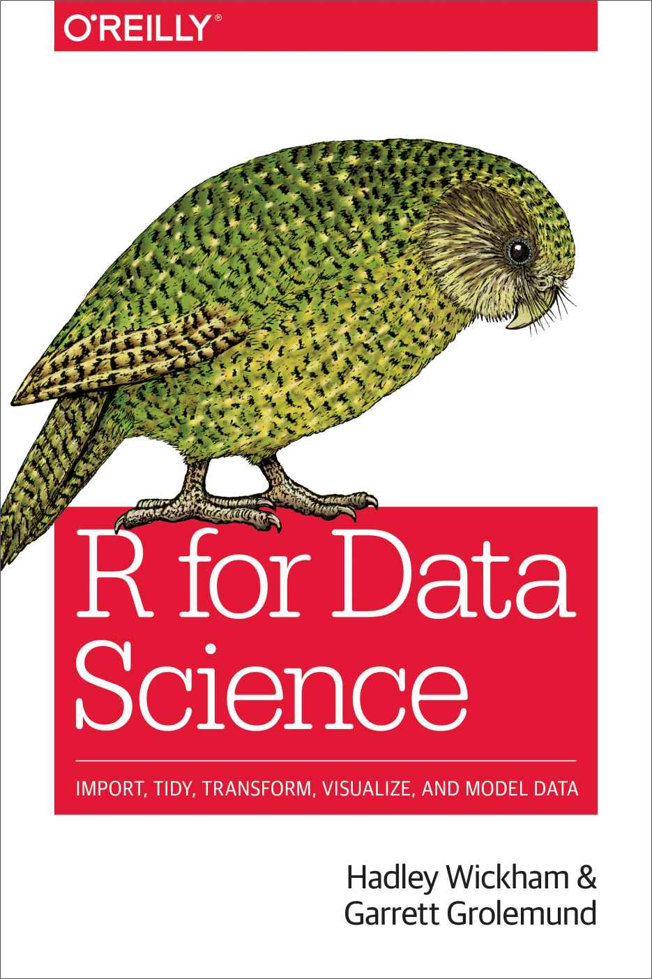 R For Data Science Import Tidy Transform Visualize And Model Data Hadley Wickham Garrett Grolemund
