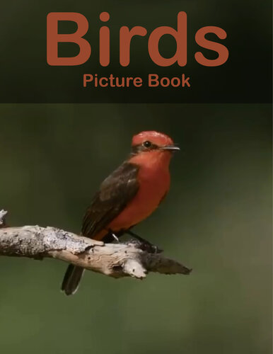 Birds Photography Photo Book V24 A Picture Book Gift For Human Marlene A Peters