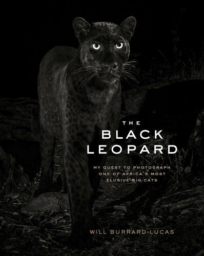 The Black Leopard My Quest To Photograph One Of Africas Most Elusive Big Cats 1st Edition Will Burrardlucas