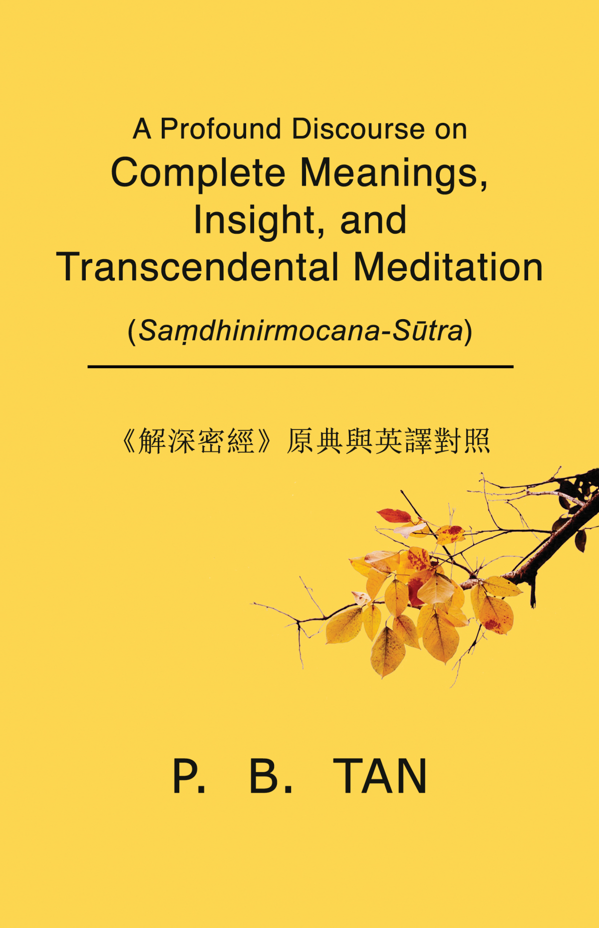 A Profound Discourse On Complete Meanings Insight And Transcendental Meditation Sadhinirmocanastra P B Tan