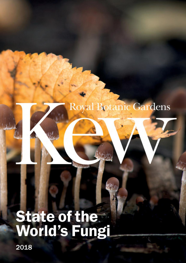 State Of The Worlds Fungi 2018 1st Edition Royal Botanic Gardens