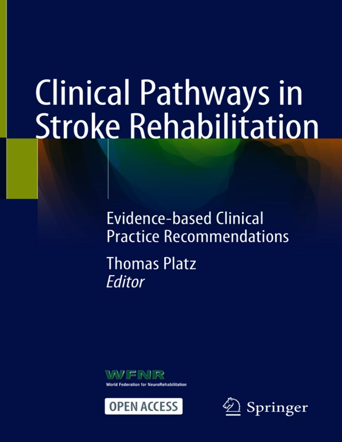 Clinical Pathways In Stroke Rehabilitation Thomas Platz