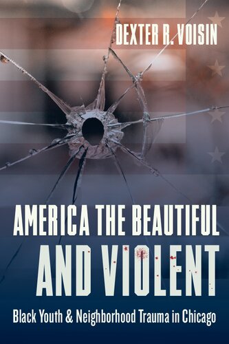 America The Beautiful And Violent Black Youth And Neighborhood Trauma In Chicago Dexter R Voisin
