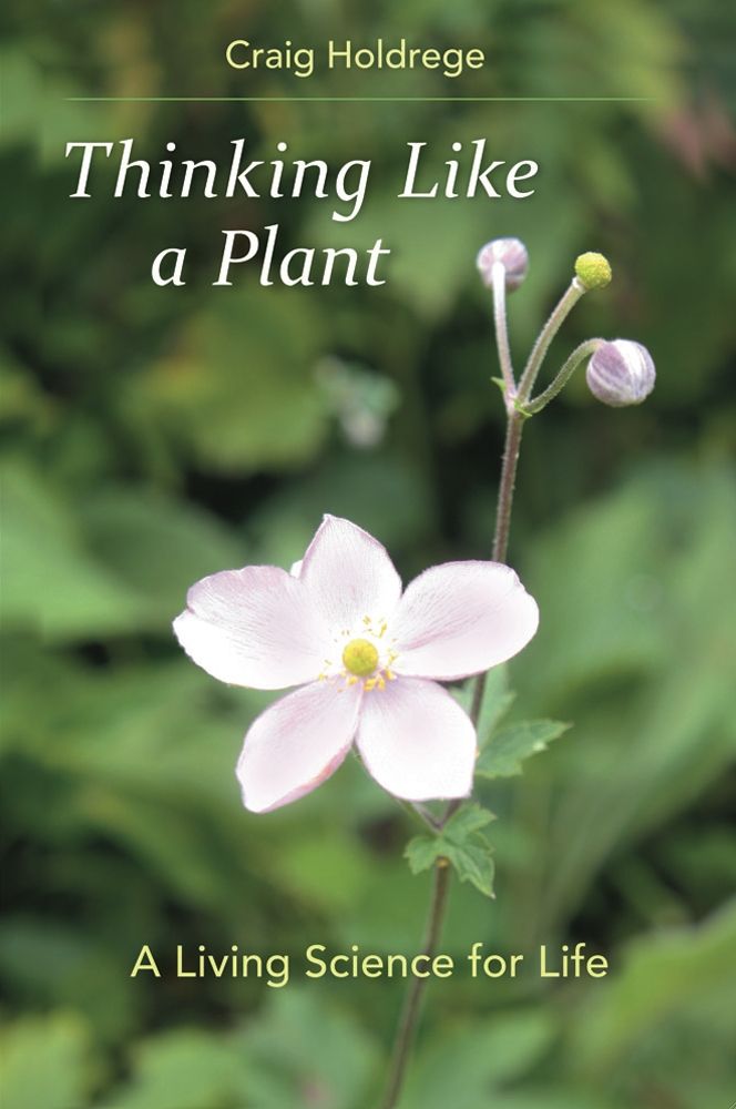 Thinking Like A Plant A Living Science For Life Craig Holdrege