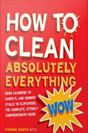 How To Clean Absolutely Everything 4th Edition Yvonne Worth