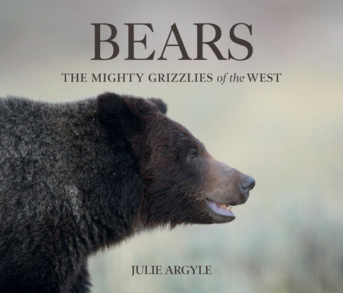 Bears The Mighty Grizzlies Of The West Julie Argyle