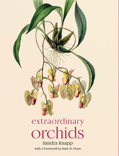 Extraordinary Orchids First Sandra Knapp