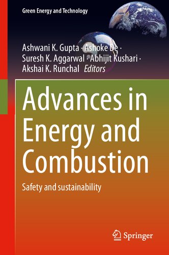 Advances In Energy And Combustion Safety And Sustainability 1st Ed 2022 Ashwani K Gupta Editor