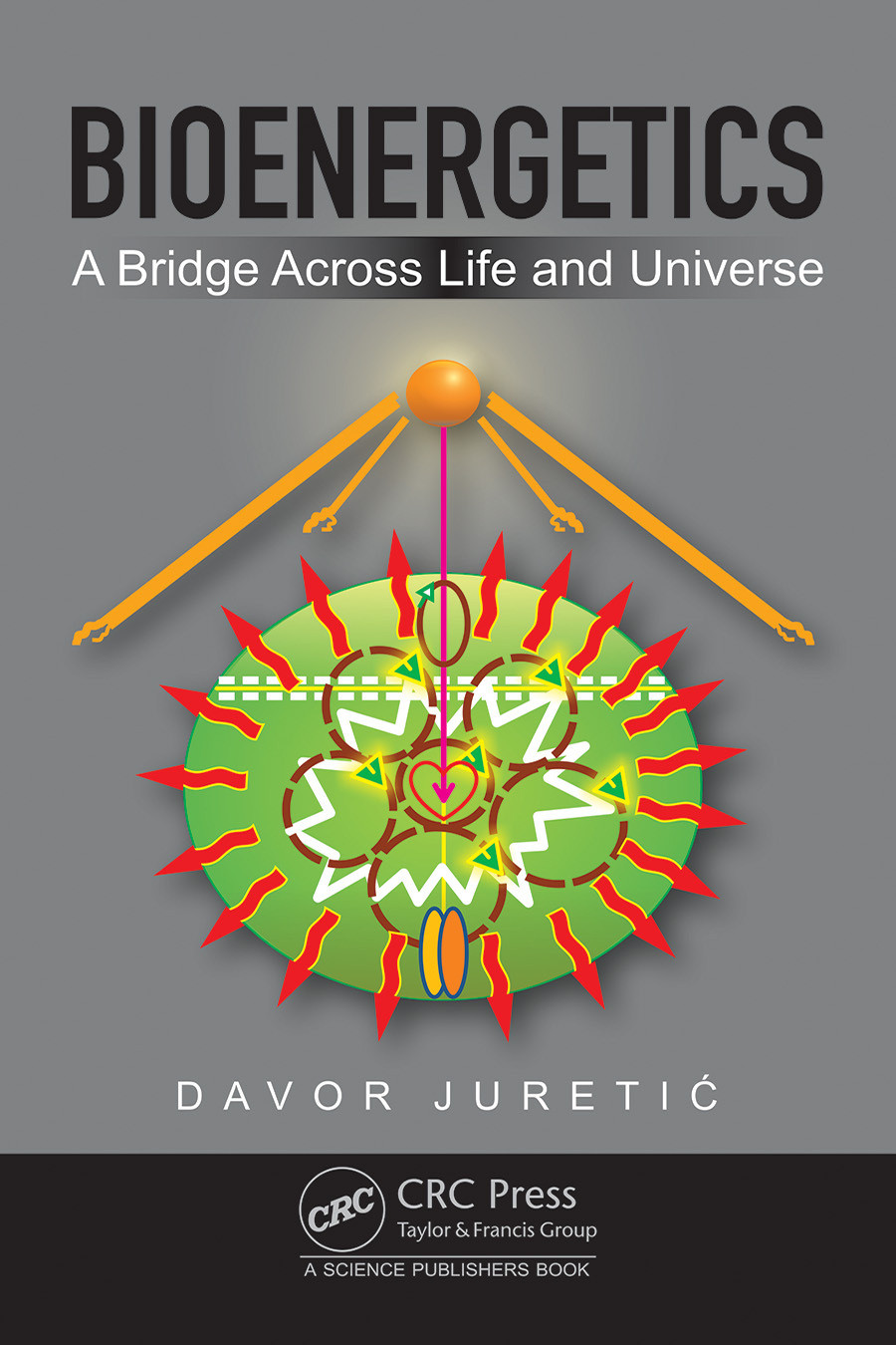 Bioenergetics A Bridge Across Life And Universe Davor Jureti