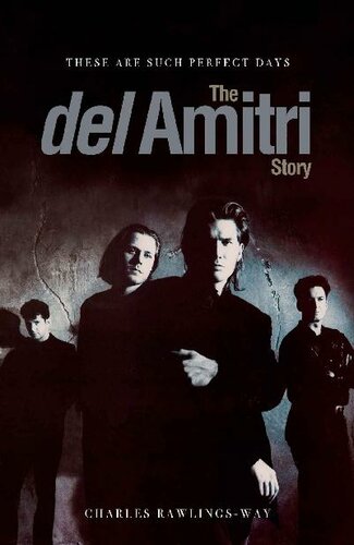 These Are Such Perfect Days The Del Amitri Story Charles Rawlingsway