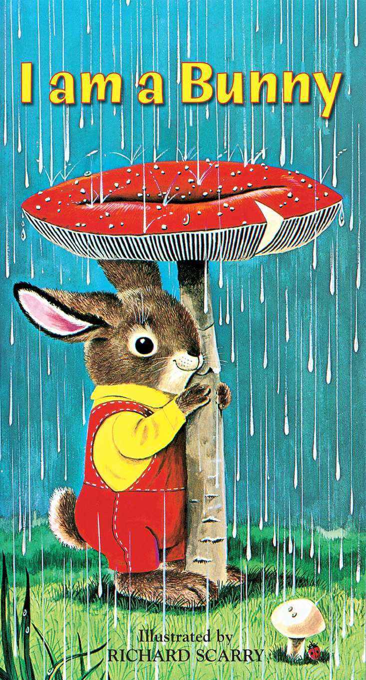 I Am A Bunny A Golden Sturdy Book Risom Ole