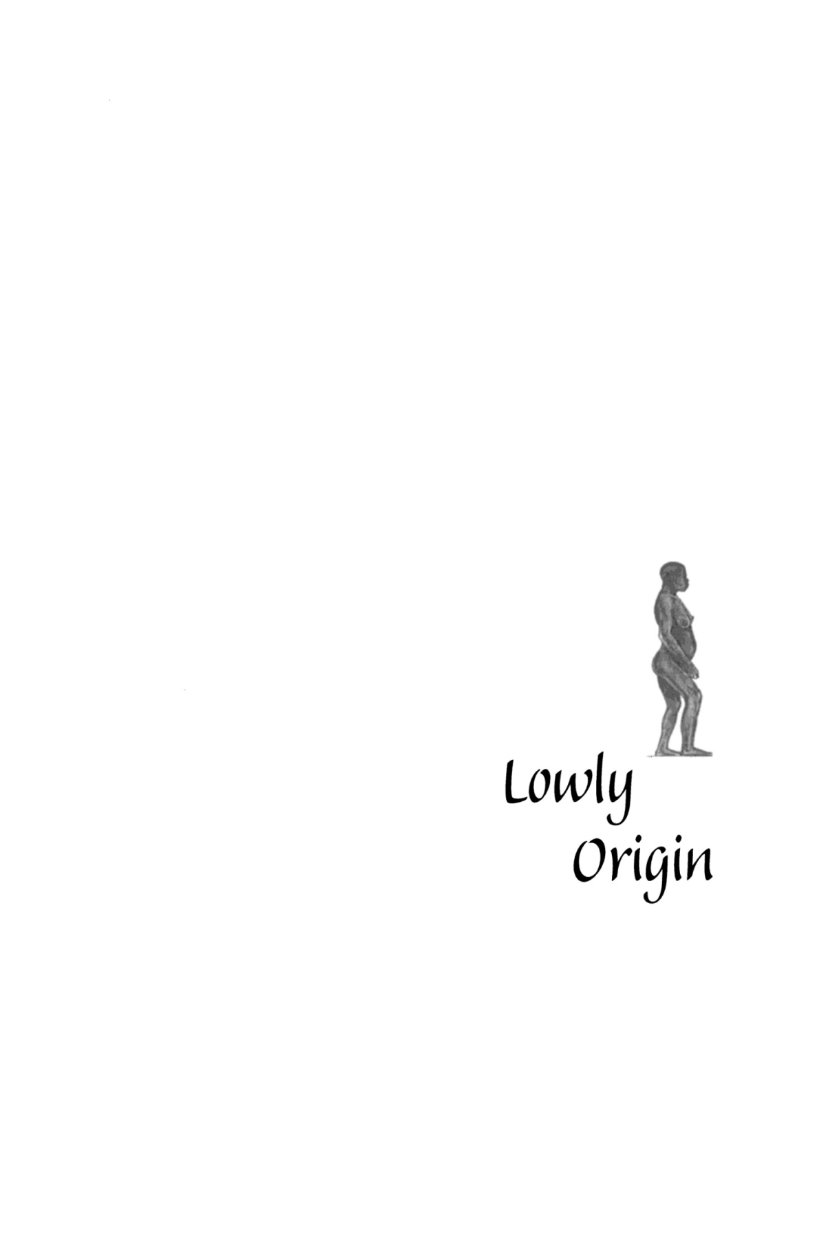 Lowly Origin Where When And Why Our Ancestors First Stood Up Jonathan Kingdon
