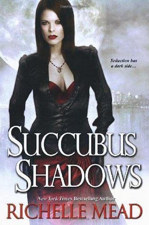 Succubus Shadows Mead Richelle