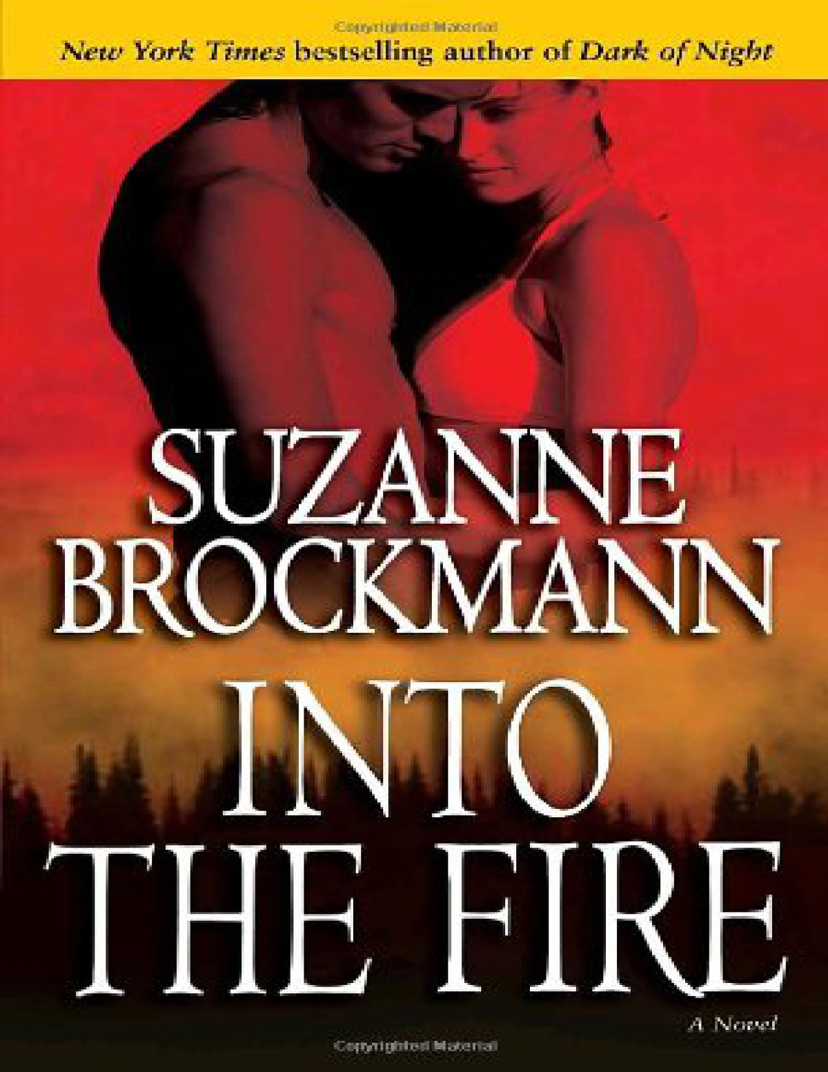 Into The Fire Brockmann Suzanne