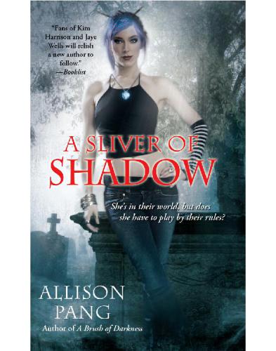 A Sliver Of Shadow Pang Allison