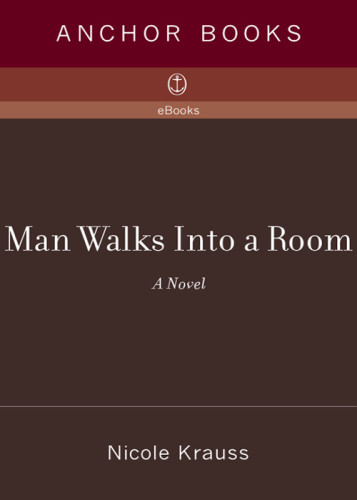 Man Walks Into A Room Nicole Krauss