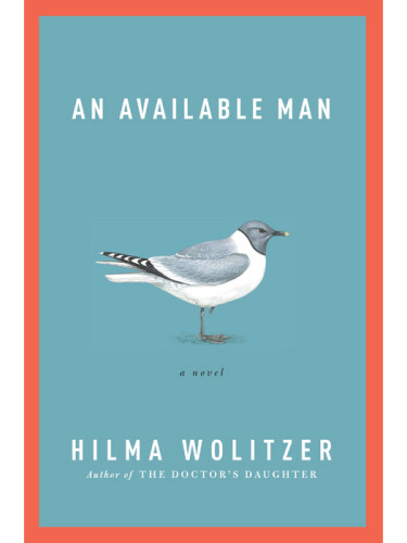 An Available Man Wolitzer Hilma