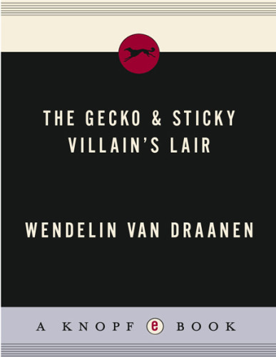 Villains Lair Draanen Wendelin Van