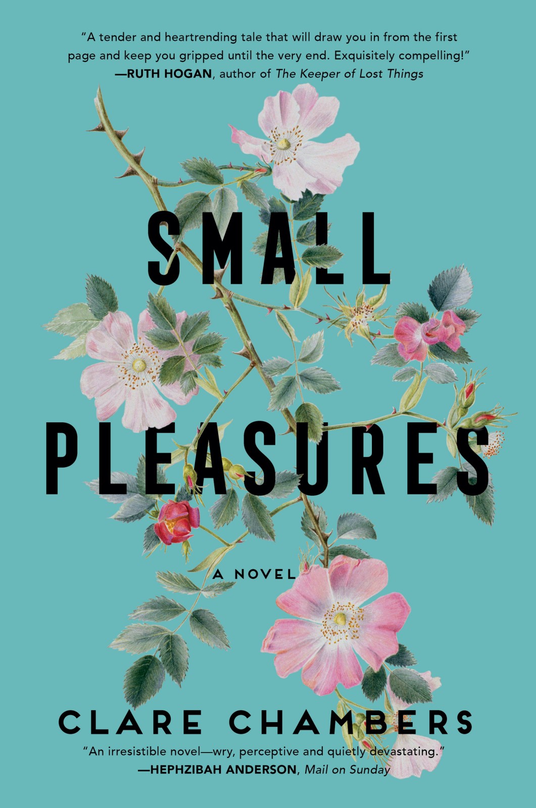 Small Pleasures Clare Chambers