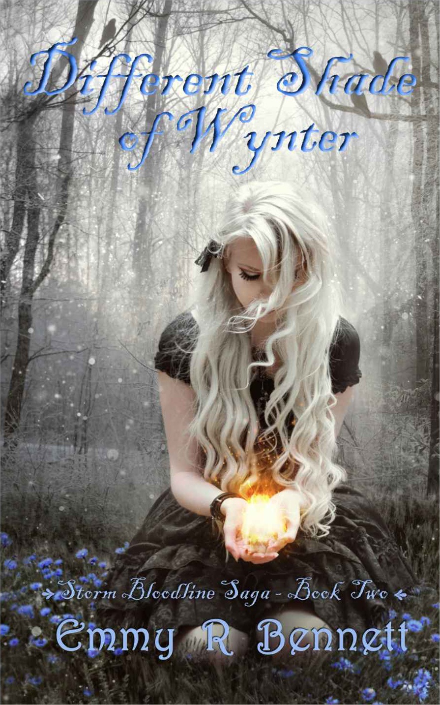 Different Shade Of Wynter Storm Bloodline Saga Book 2 Emmy R Bennett