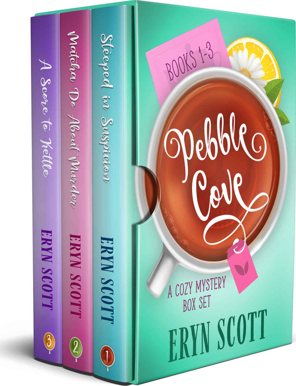 Pebble Cove A Cozy Mystery Box Set Books 13 Eryn Scott