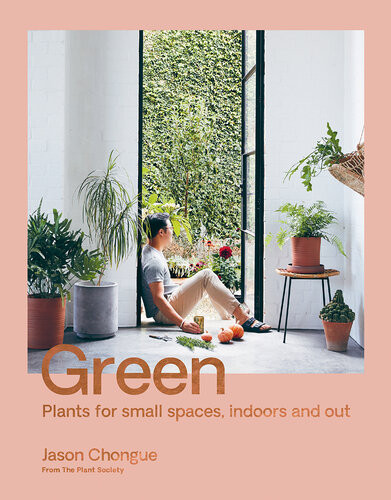Green Plant For Small Spaces Indoors And Out Jason Chongue