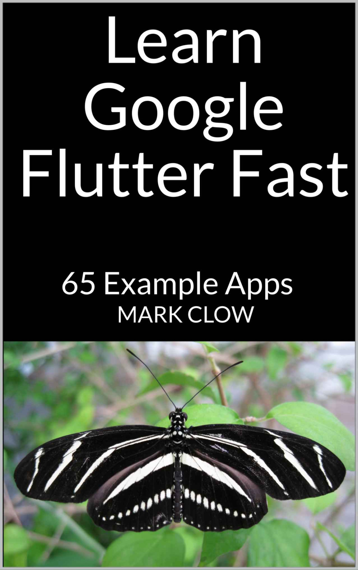 Learn Google Flutter Fast 65 Example Apps Clow Mark Chenjin5com