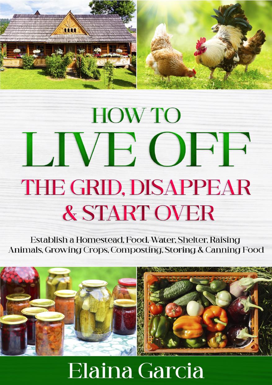 How To Live Off The Grid Disappear Start Over Establish A Homestead Food Water Shelter Raising Animals Cover Extremely Blurry Elaina Garcia