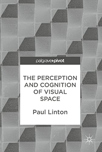 The Perception And Cognition Of Visual Space 1st Ed 2017 Linton