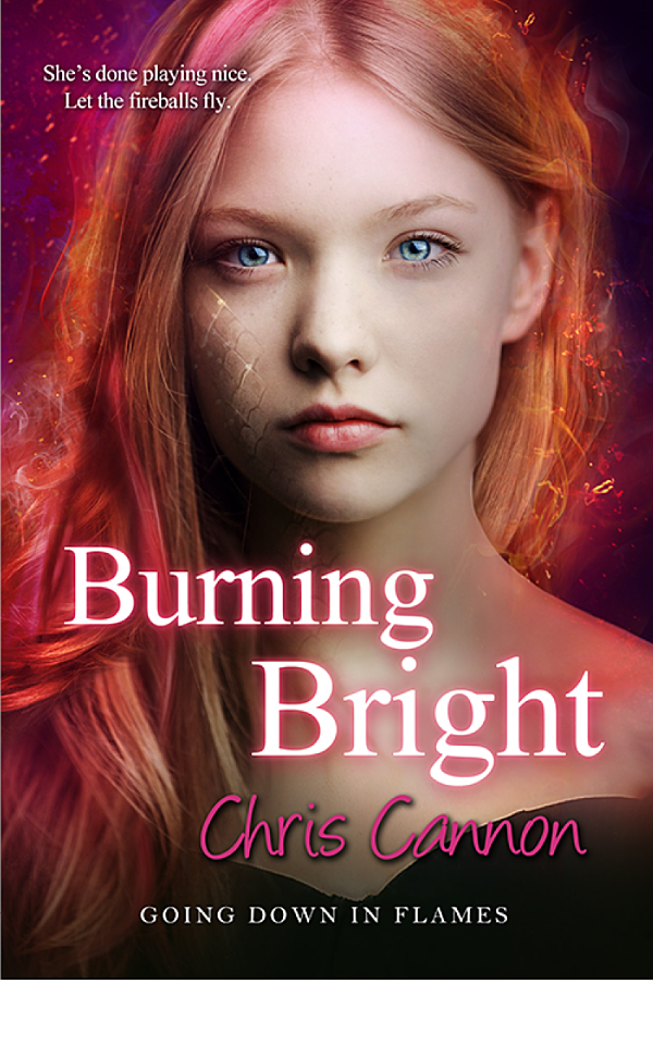 Burning Bright Going Down In Flames Chris Cannon