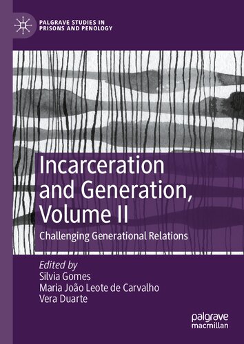 Incarceration And Generation Volume Ii Challenging Generational Relations 1st Edition Palgrave