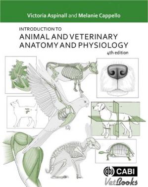 Introduction To Animal And Veterinary Anatomy And Physiology 4th Edition Victoria Aspinall