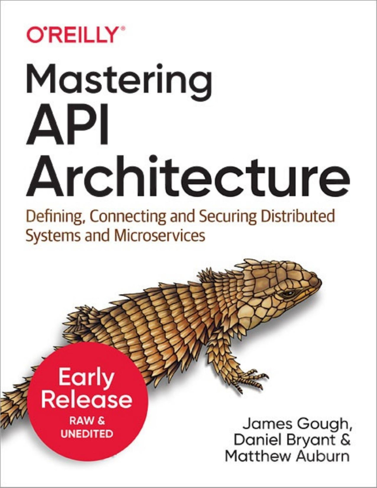 Mastering Api Architecture Second Early Release 20211029 Second Early Release James Gough