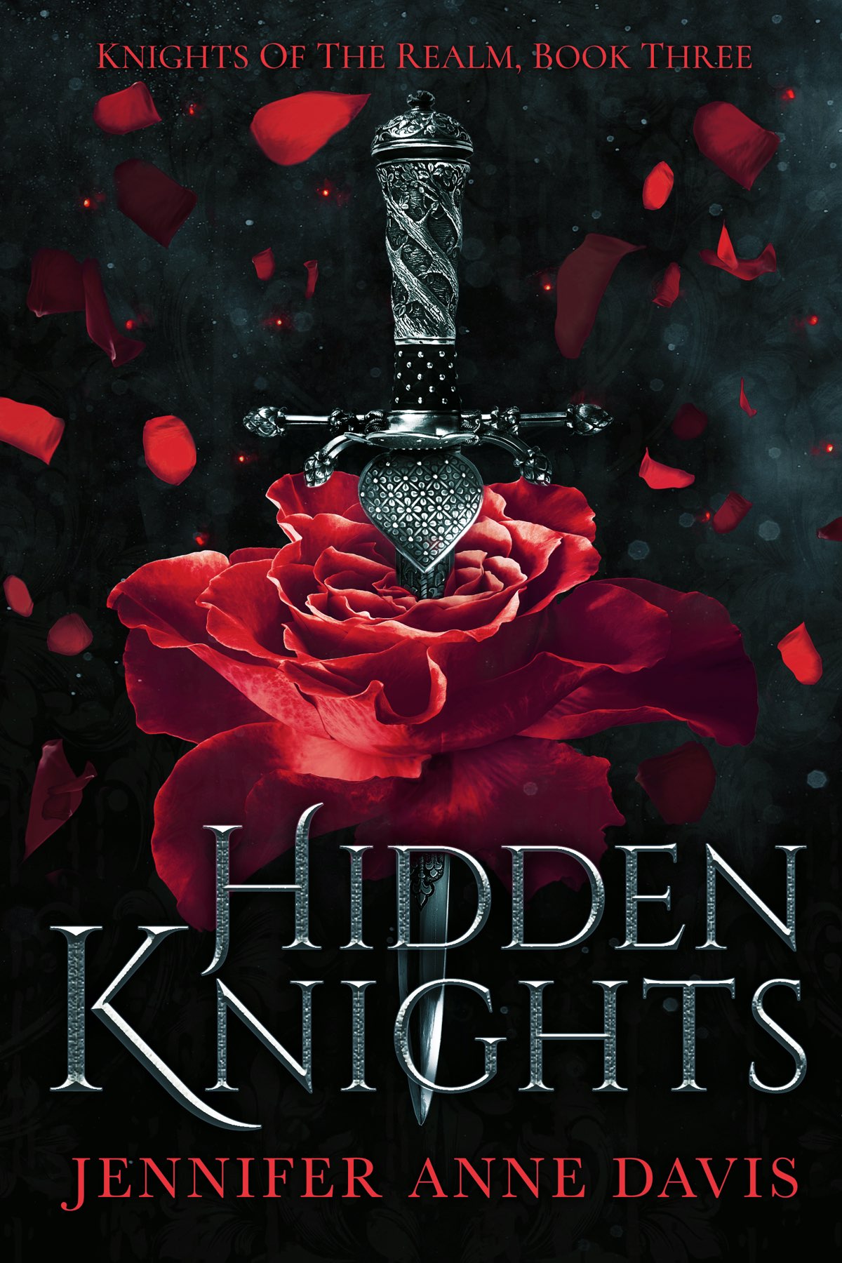 Hidden Knights Knights Of The Realm Book 3 Jennifer Anne Davis
