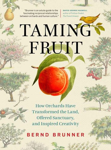 Taming Fruit How Orchards Have Transformed The Land Offered Sanctuary And Inspired Creativity Bernd Brunner