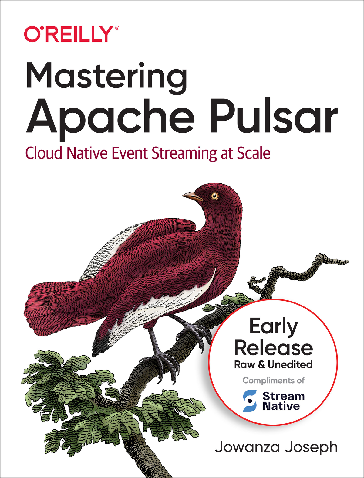 Mastering Apache Pulsar Jowanza Joseph