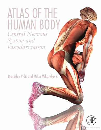 Atlas Of The Human Body Central Nervous System And Vascularization Branislav Vidi Milan Milisavljevic