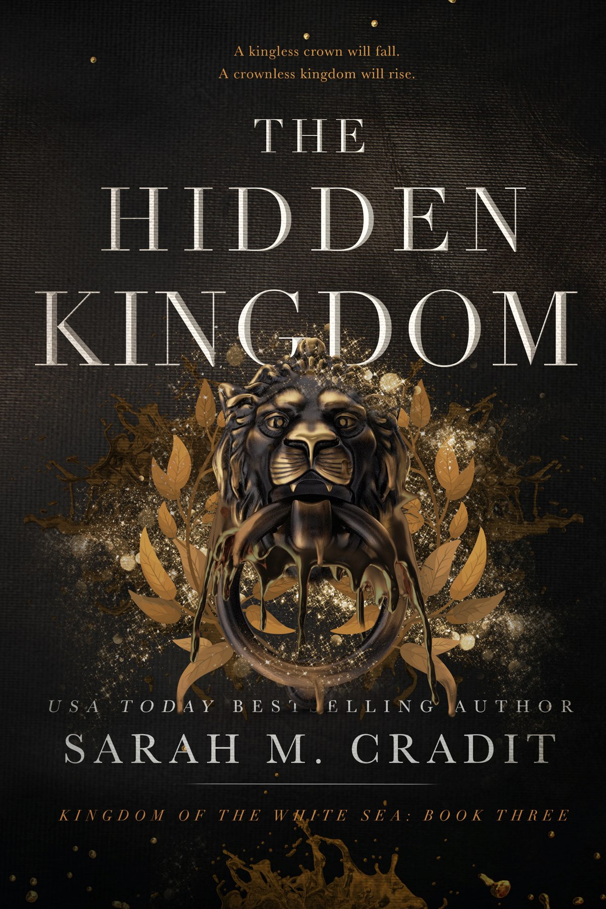 Kingdom Of The White Sea 3the Hidden Kingdom Cradit Sarah M