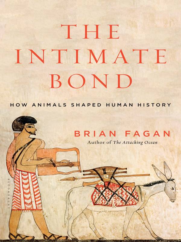 The Intimate Bond Brian Fagan