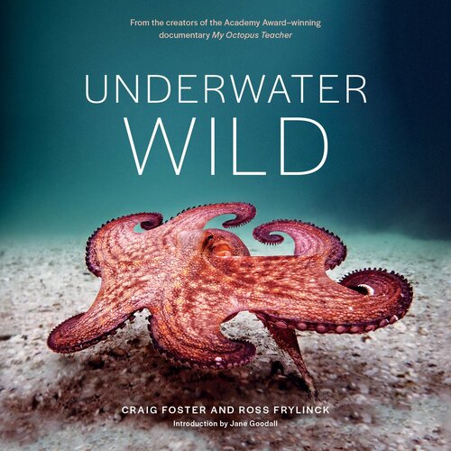 Underwater Wild My Octopus Teachers Extraordinary World Craig Foster