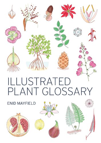 Illustrated Plant Glossary Mayfield Enid