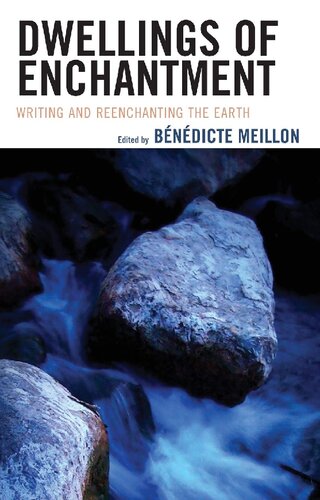 Dwellings Of Enchantment Writing And Reenchanting The Earth Bndicte Meillon Editor