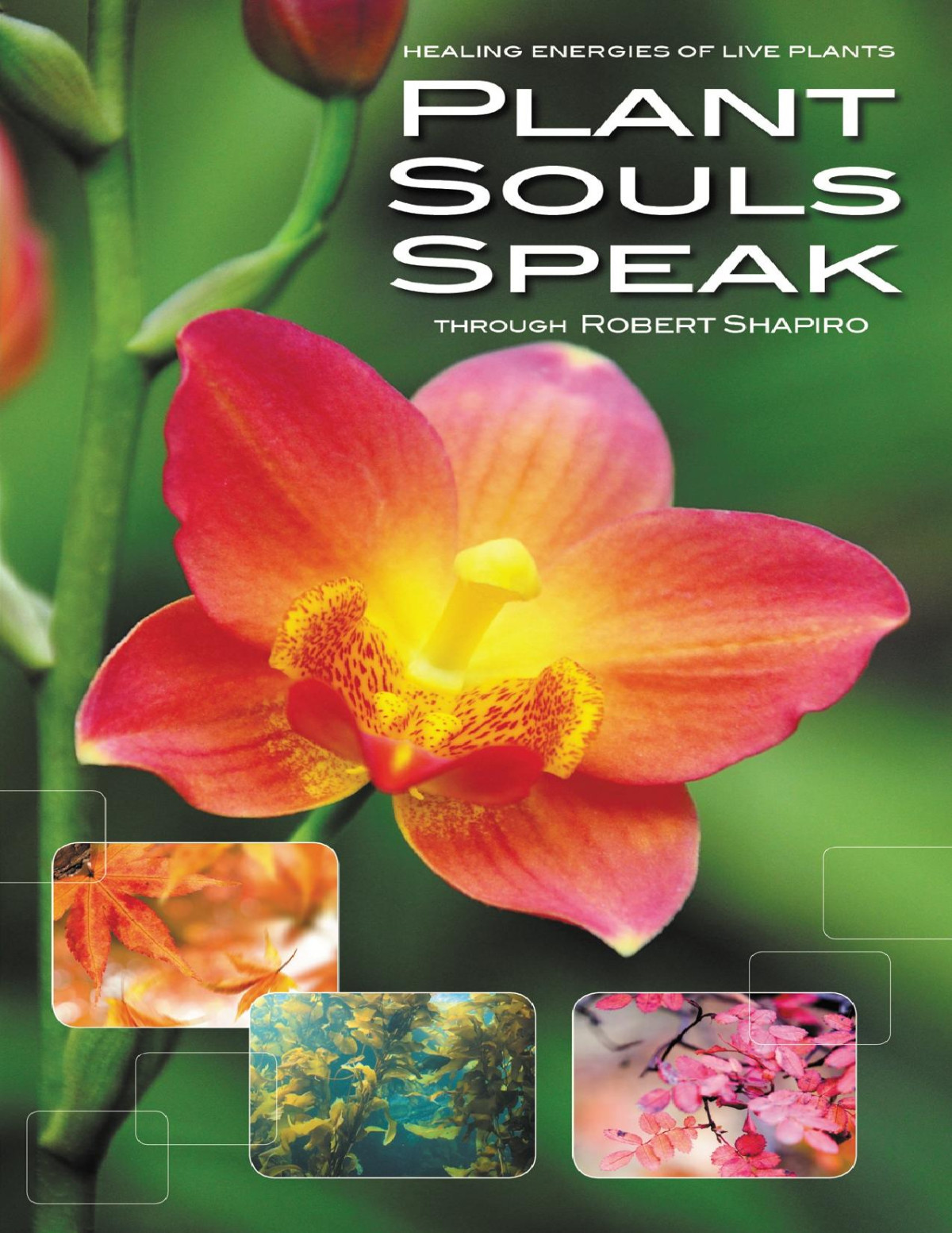 The Explorer Race 16 Plant Souls Speak Healing Energies Of Live Plants Robert Shapiro