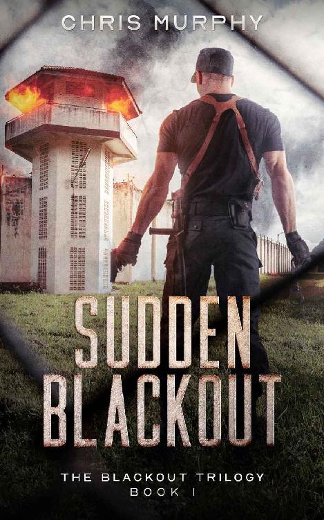 Sudden Blackout The Blackout Trilogy Book 1 Chris Murphy