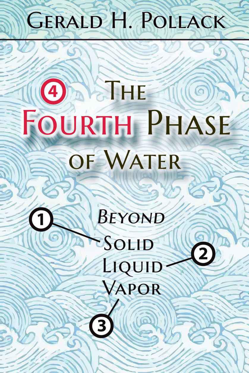 The Fourth Phase Of Water Beyond Solid Liquid And Vapor Pollack