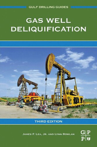 Gas Well Deliquification 3rd Edition James F Lea Jr Lynn Rowlan
