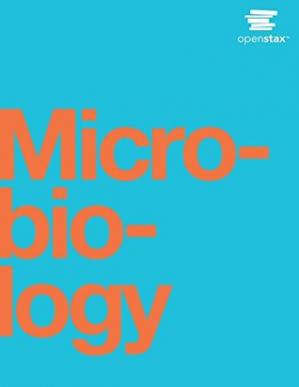 Microbiology Nina Parker Mark Schneegurt Anhhue Thi Tu Brian M Forster