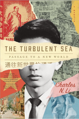The Turbulent Sea Passage To A New World Charles N Li